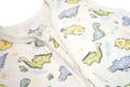 Load image into Gallery viewer, 100% Organic Cotton - Sleep Sack - Dino World - OBabyz