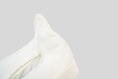 Load image into Gallery viewer, Snap Front Footy without mitts in Off white / 3 Dino - OBabyz
